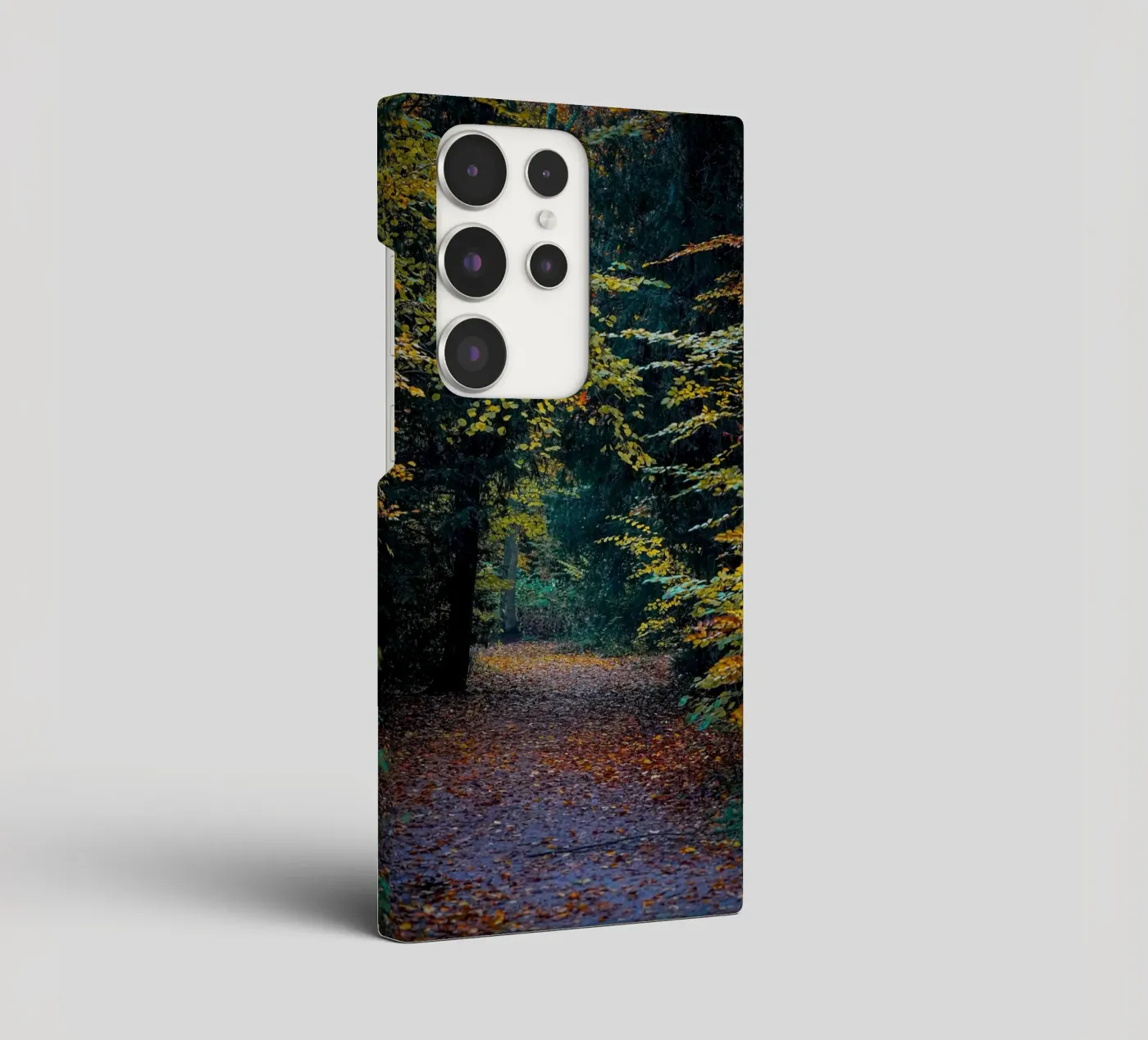 Percorso forestale cover samsung da Tom's Wildlife