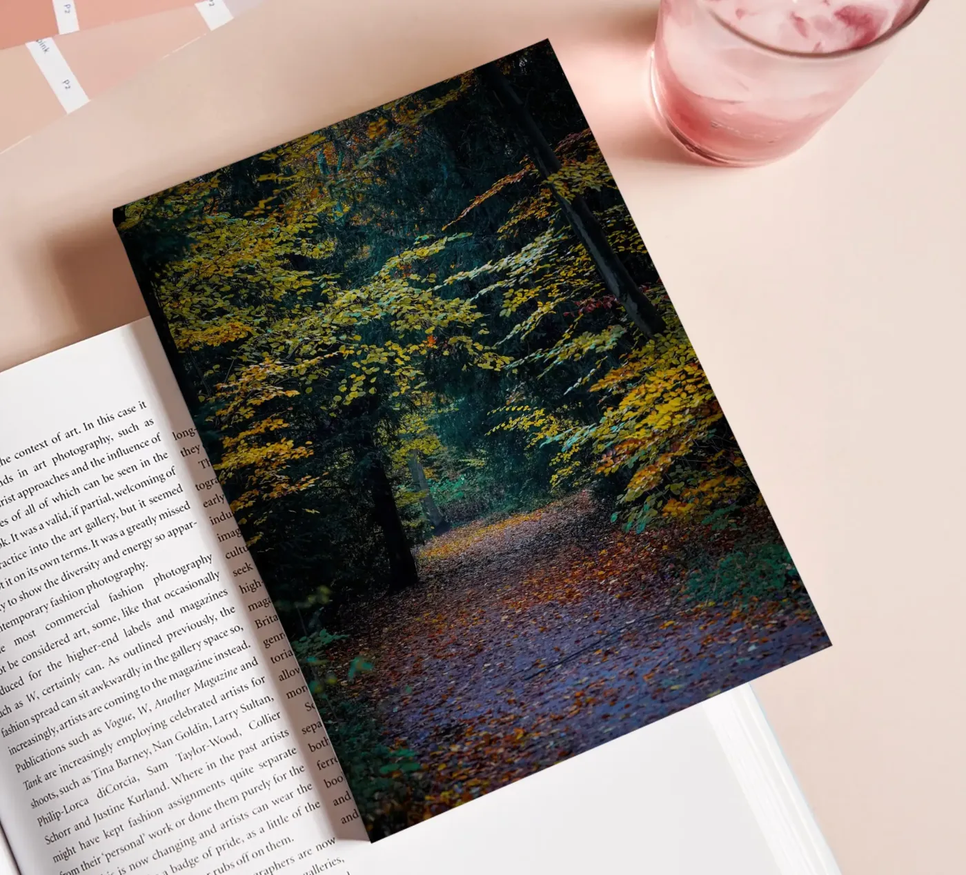Forest pathway notebook by Tom's Wildlife