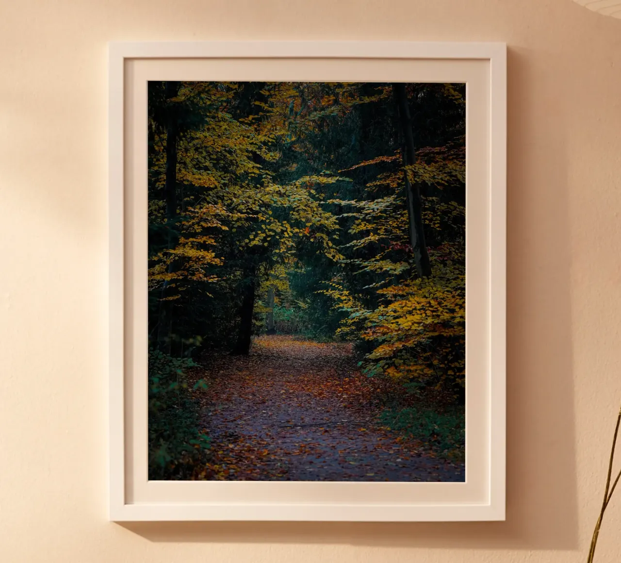 Percorso forestale poster con telaio in alluminio da Tom's Wildlife