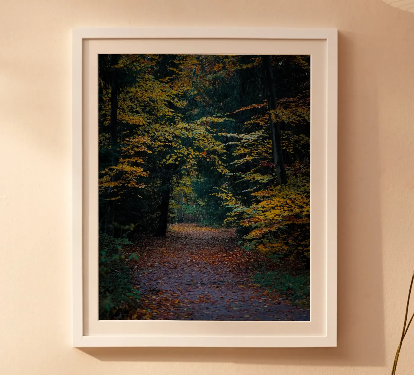 Bosweg poster van Tom's Wildlife