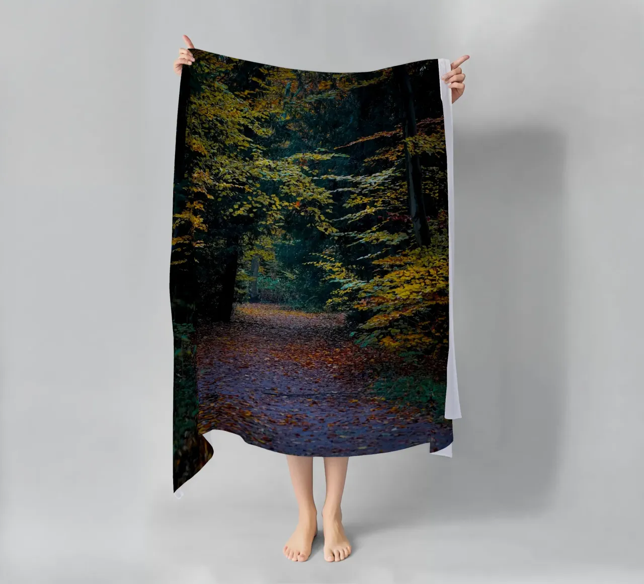 Percorso forestale telo mare da Tom's Wildlife