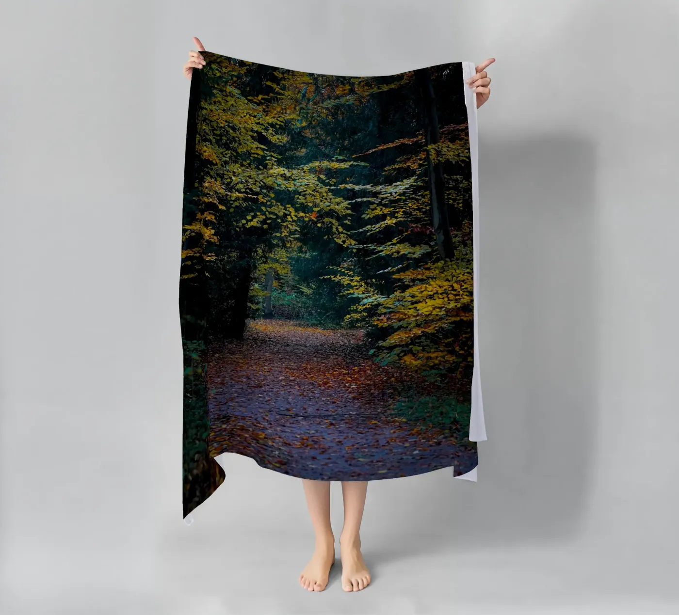 Forest pathway telo mare da Tom's Wildlife