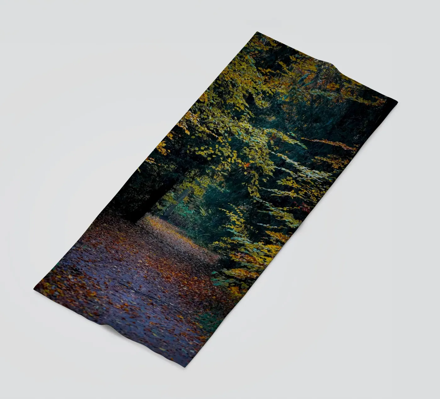 Forest pathway telo mare da Tom's Wildlife