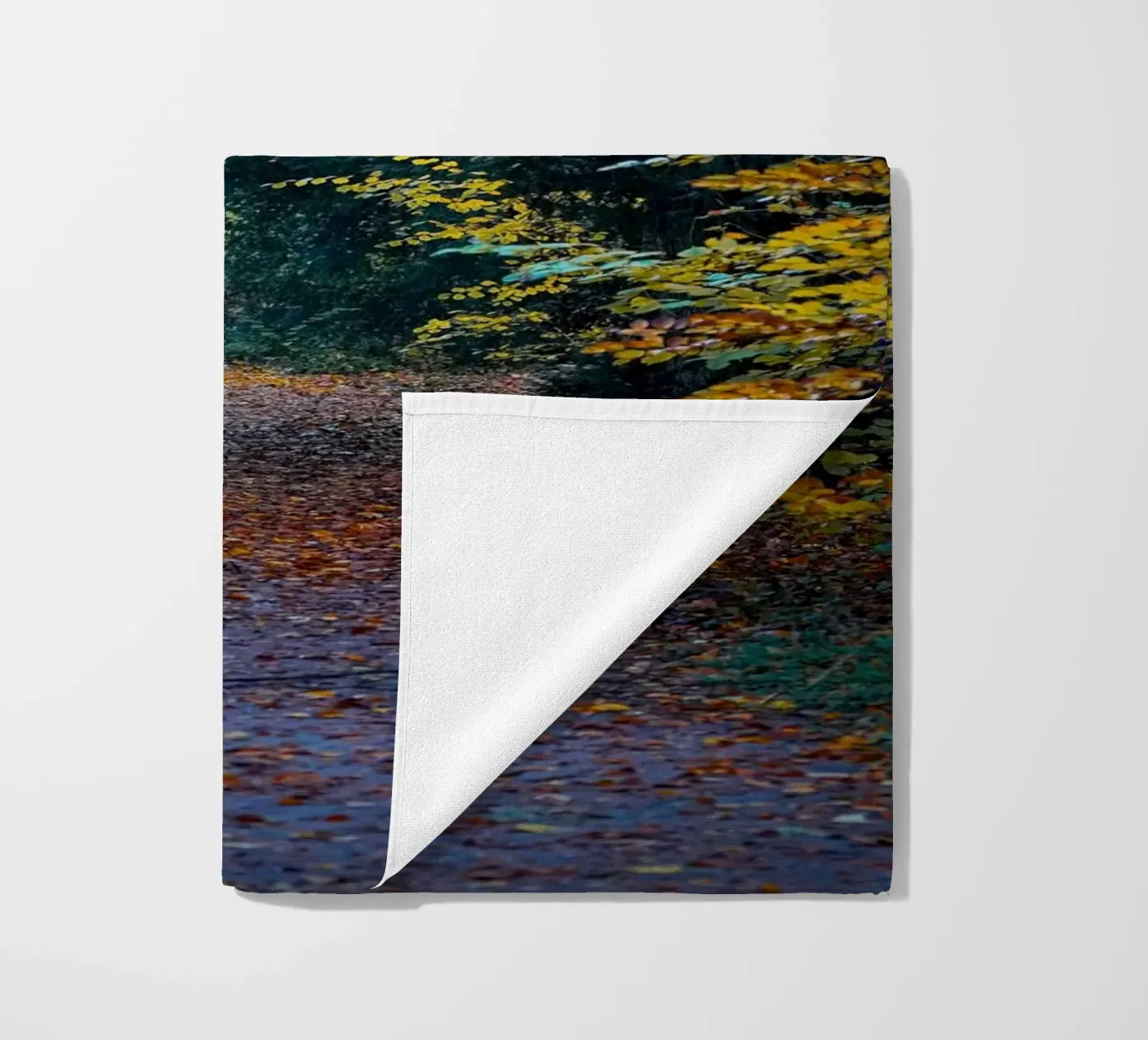 Forest pathway telo mare da Tom's Wildlife