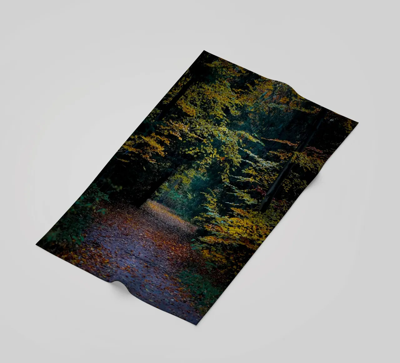 Percorso forestale telo mare da Tom's Wildlife