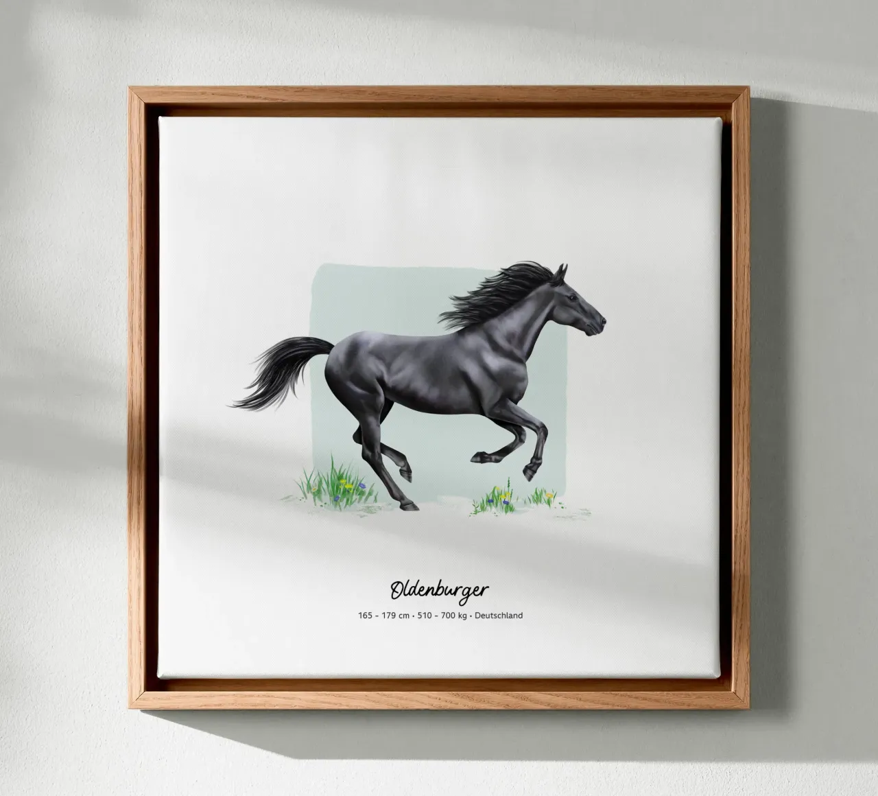 Oldenburger • Pferde Illustration canvas met Baklijst van Moonlit Illustrations