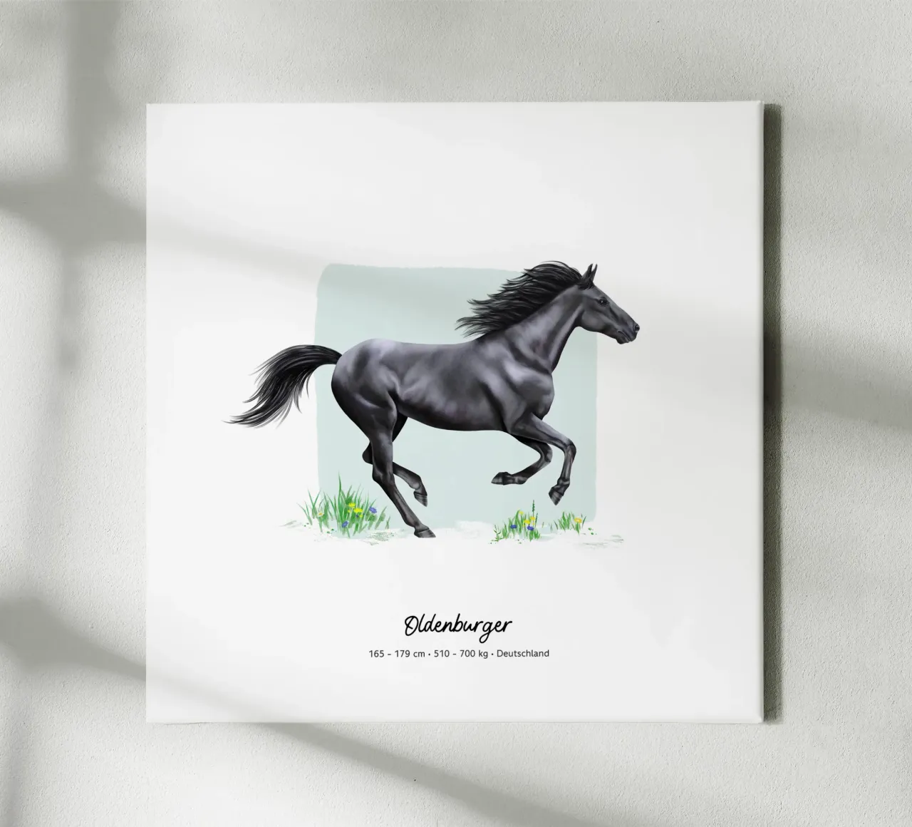 Oldenburger • Pferde Illustration canvas met Baklijst van Moonlit Illustrations