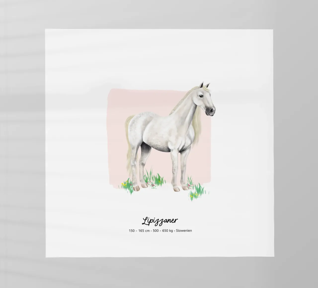 Lipizzaner • Pferde Illustration pellicola backlit da Moonlit Illustrations