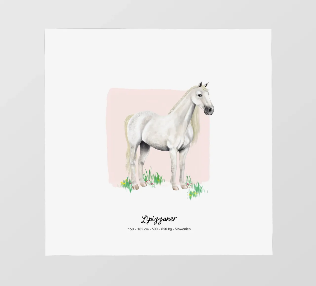 Lipizzaner • Pferde Illustration pellicola backlit da Moonlit Illustrations