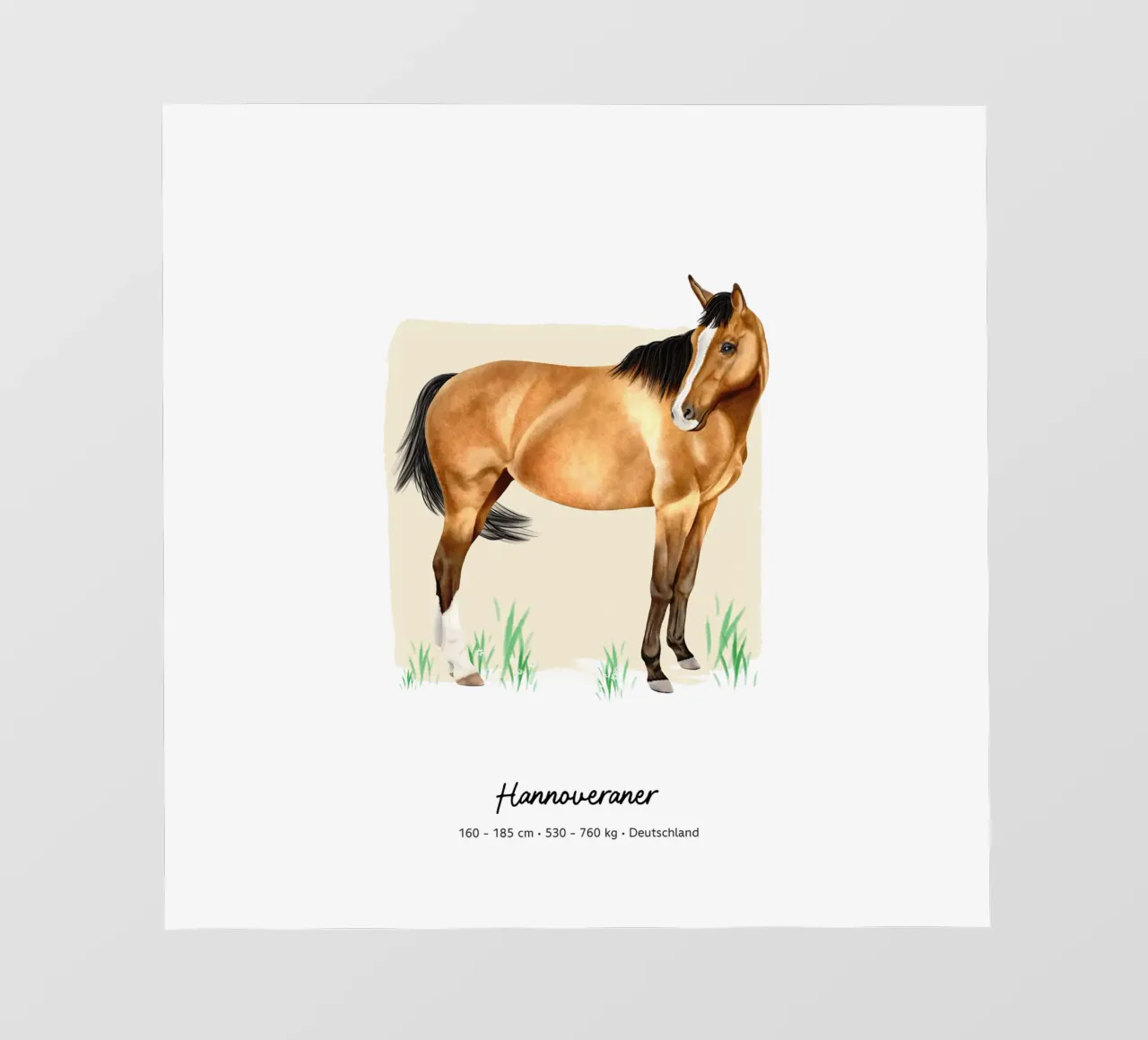 Hannoveraner • Pferde Illustration pellicola backlit da Moonlit Illustrations