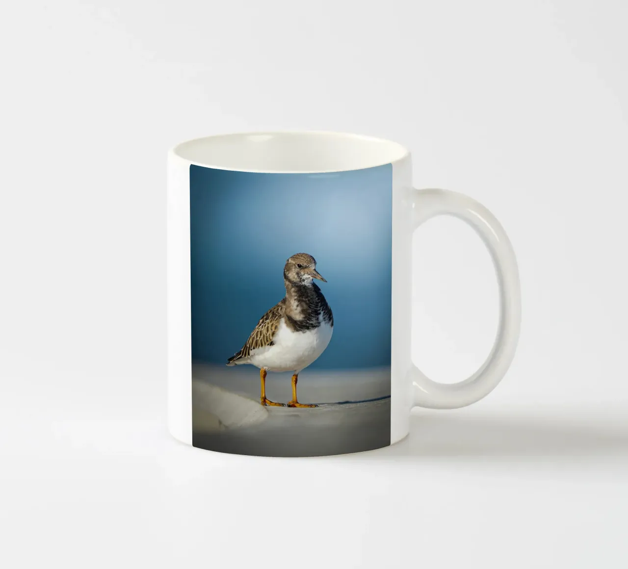 Voltastomaco tazza in ceramica da Tom's Wildlife