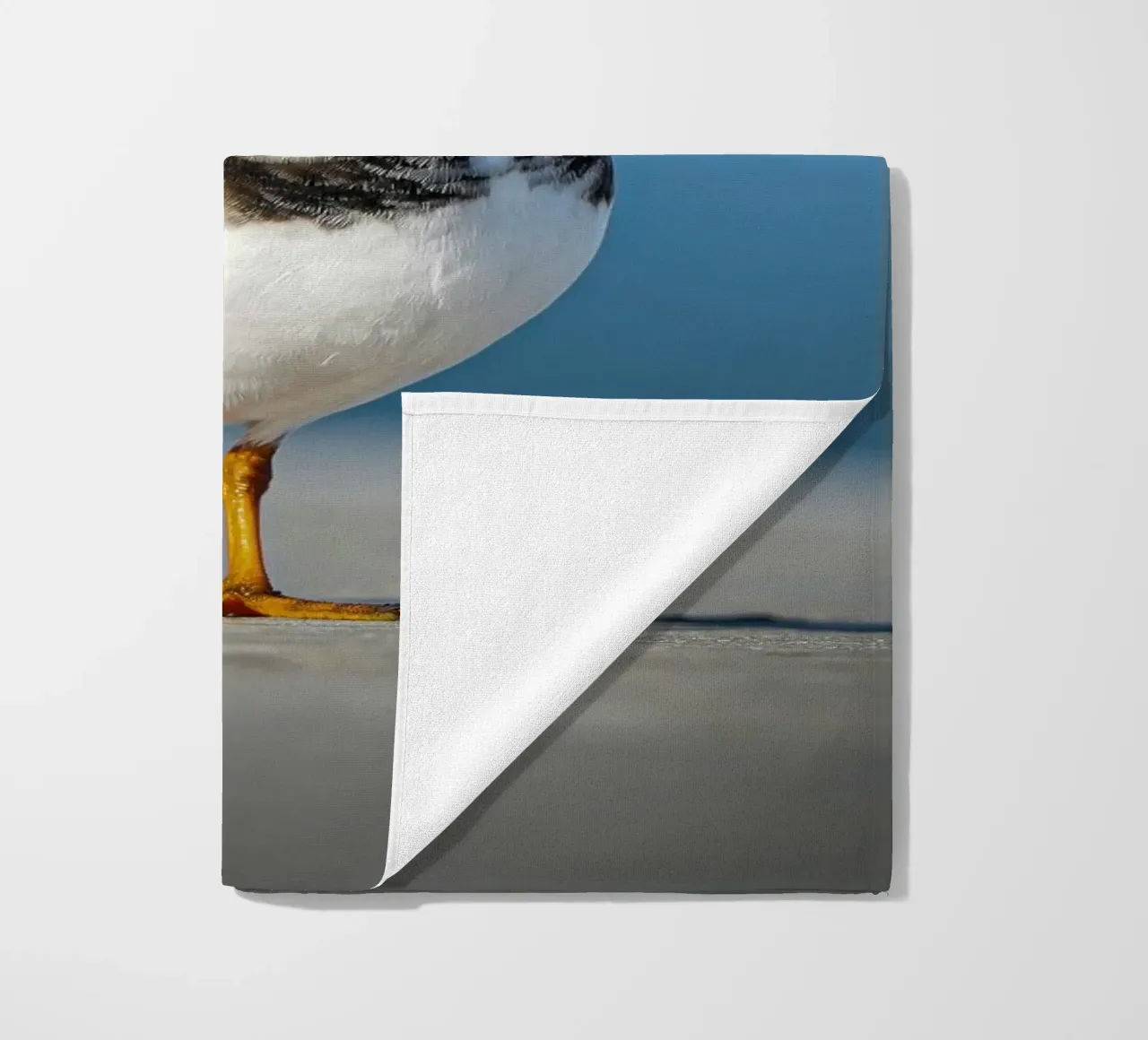 Voltastomaco telo mare da Tom's Wildlife