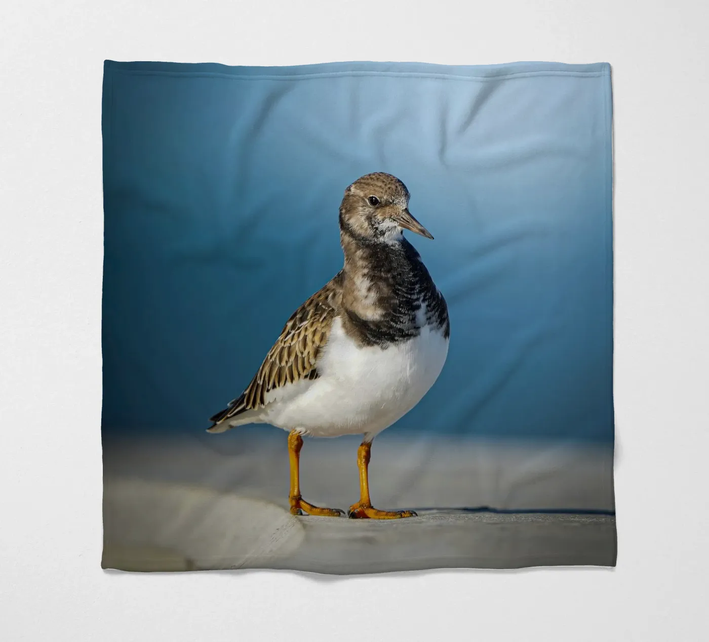 Ruddy Turnstone Fleecedecke von Tom's Wildlife
