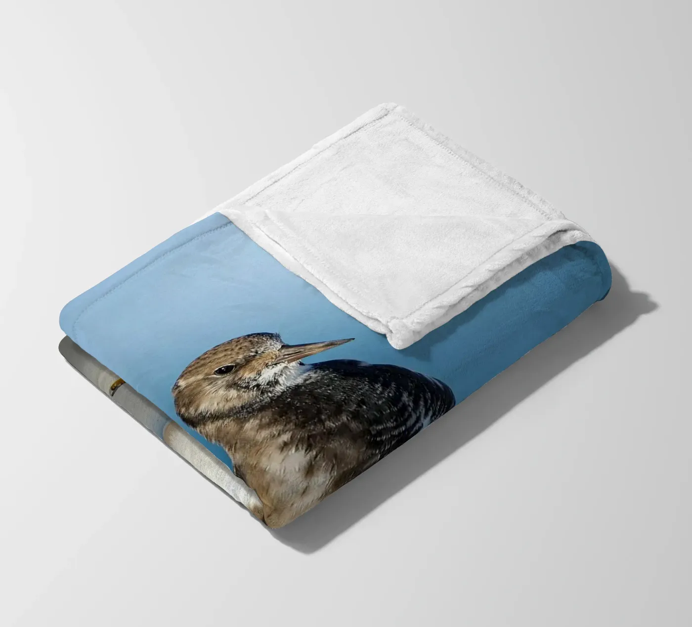Ruddy Turnstone Fleecedecke von Tom's Wildlife