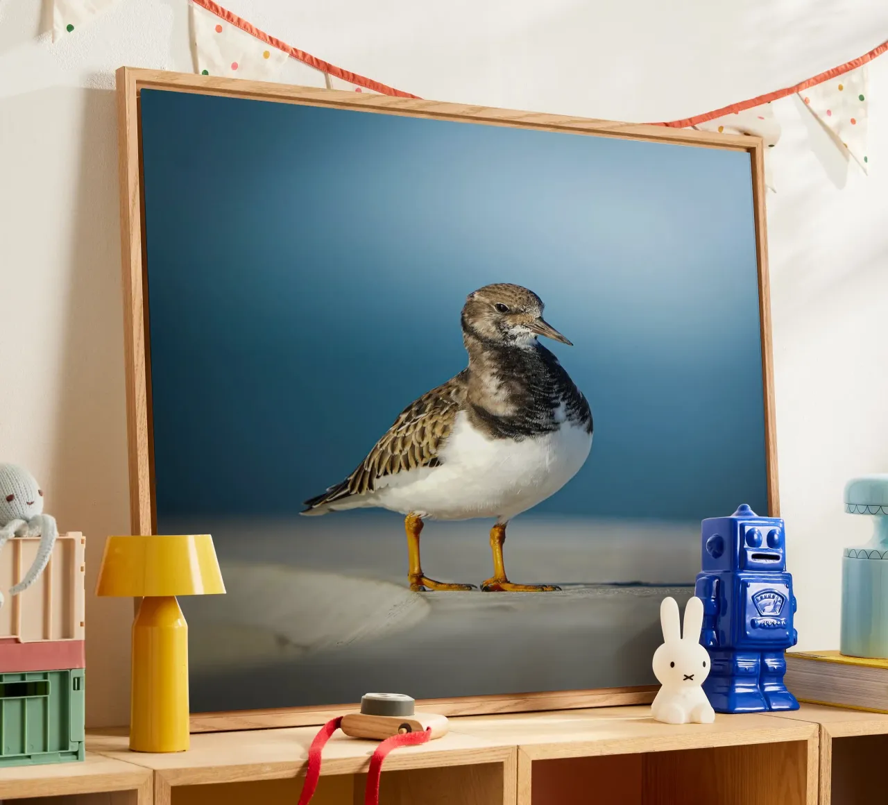 Voltastomaco plexiglass da Tom's Wildlife