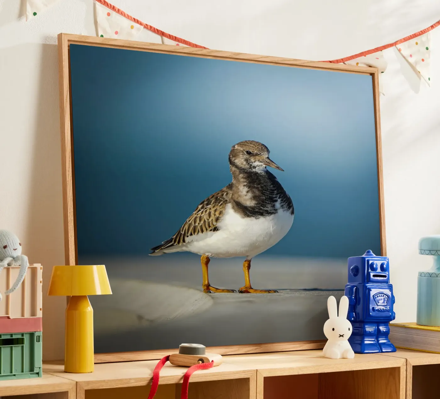 Tournepierre roussâtre plexiglas de Tom's Wildlife