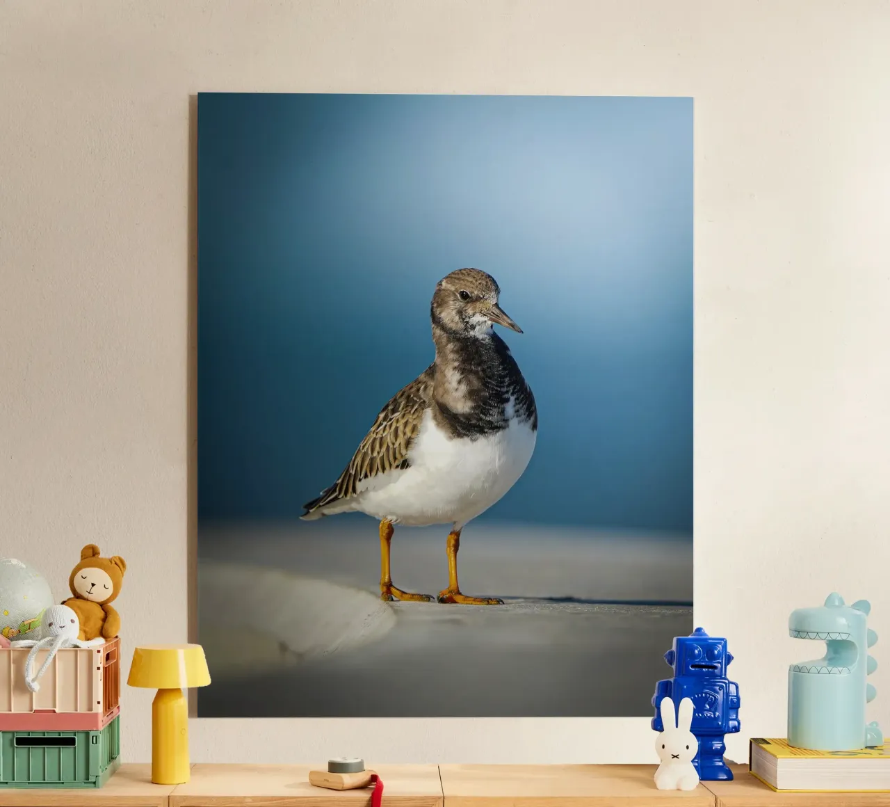 Voltastomaco plexiglass da Tom's Wildlife