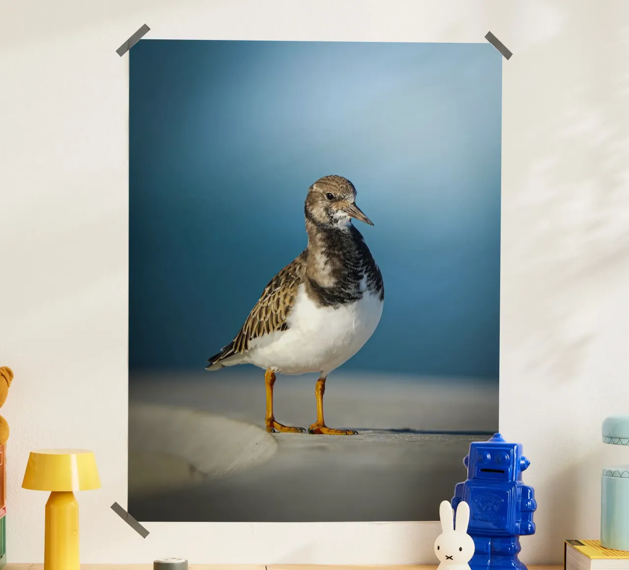 Voltastomaco poster da Tom's Wildlife