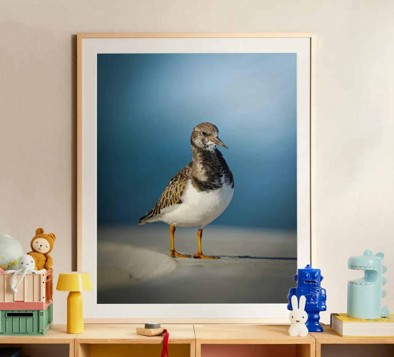 Ruddy Turnstone hahnemühle by Tom's Wildlife