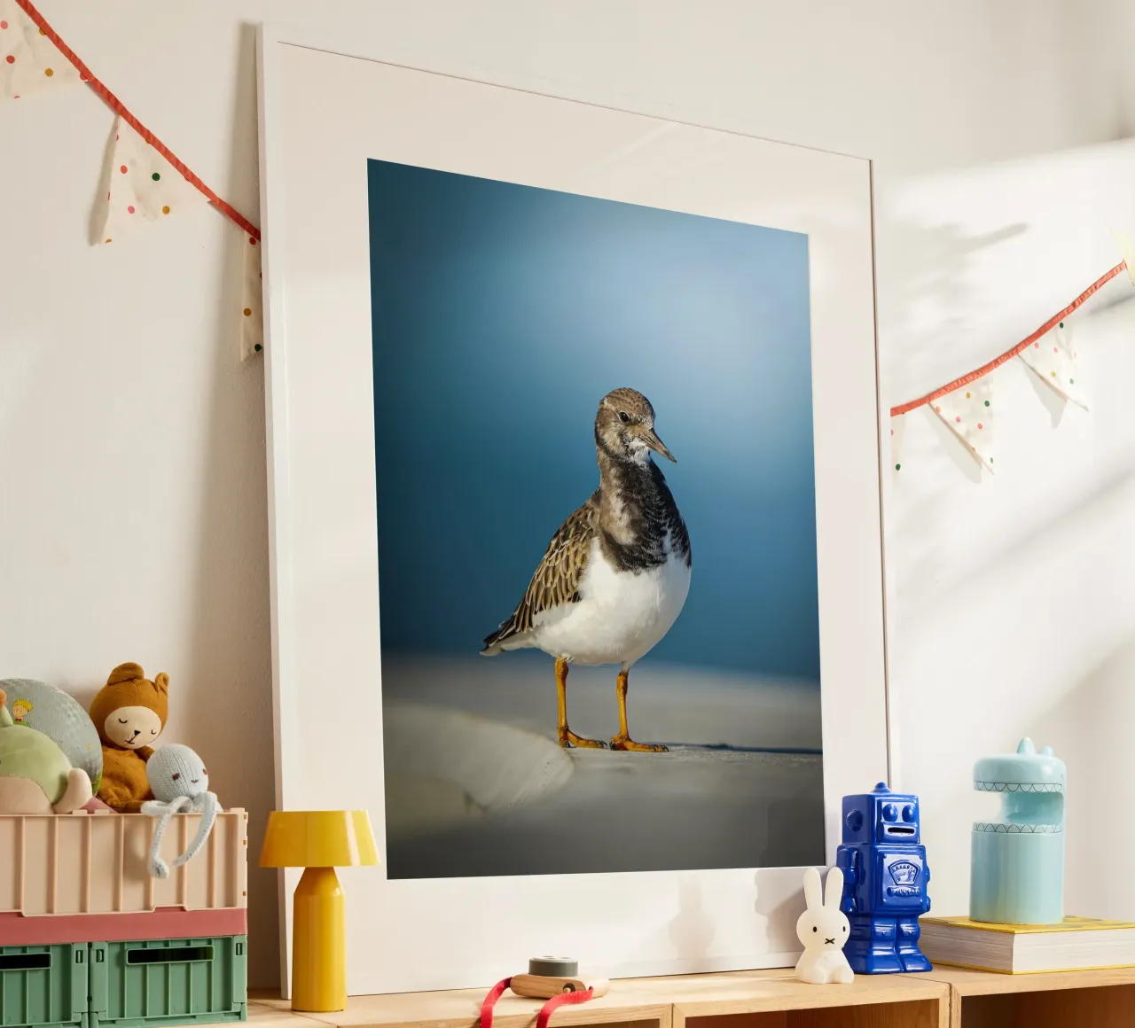 Voltastomaco poster da Tom's Wildlife