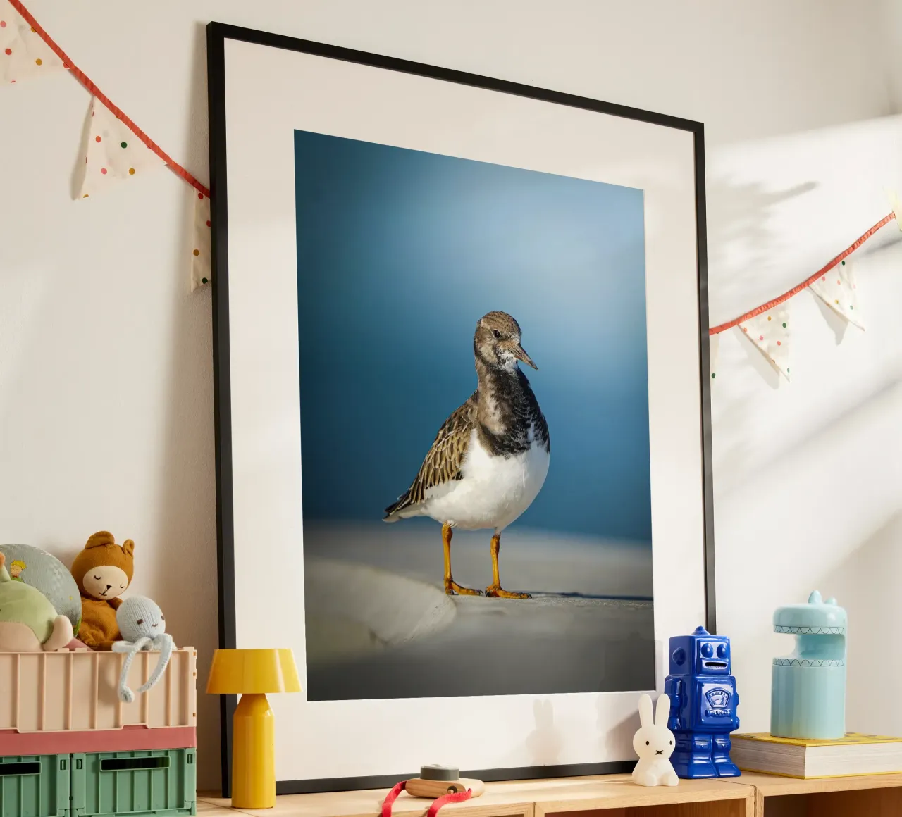 Voltastomaco poster da Tom's Wildlife