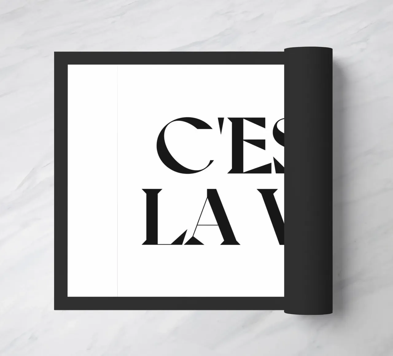 C'EST LA VIE zerbino da n.4