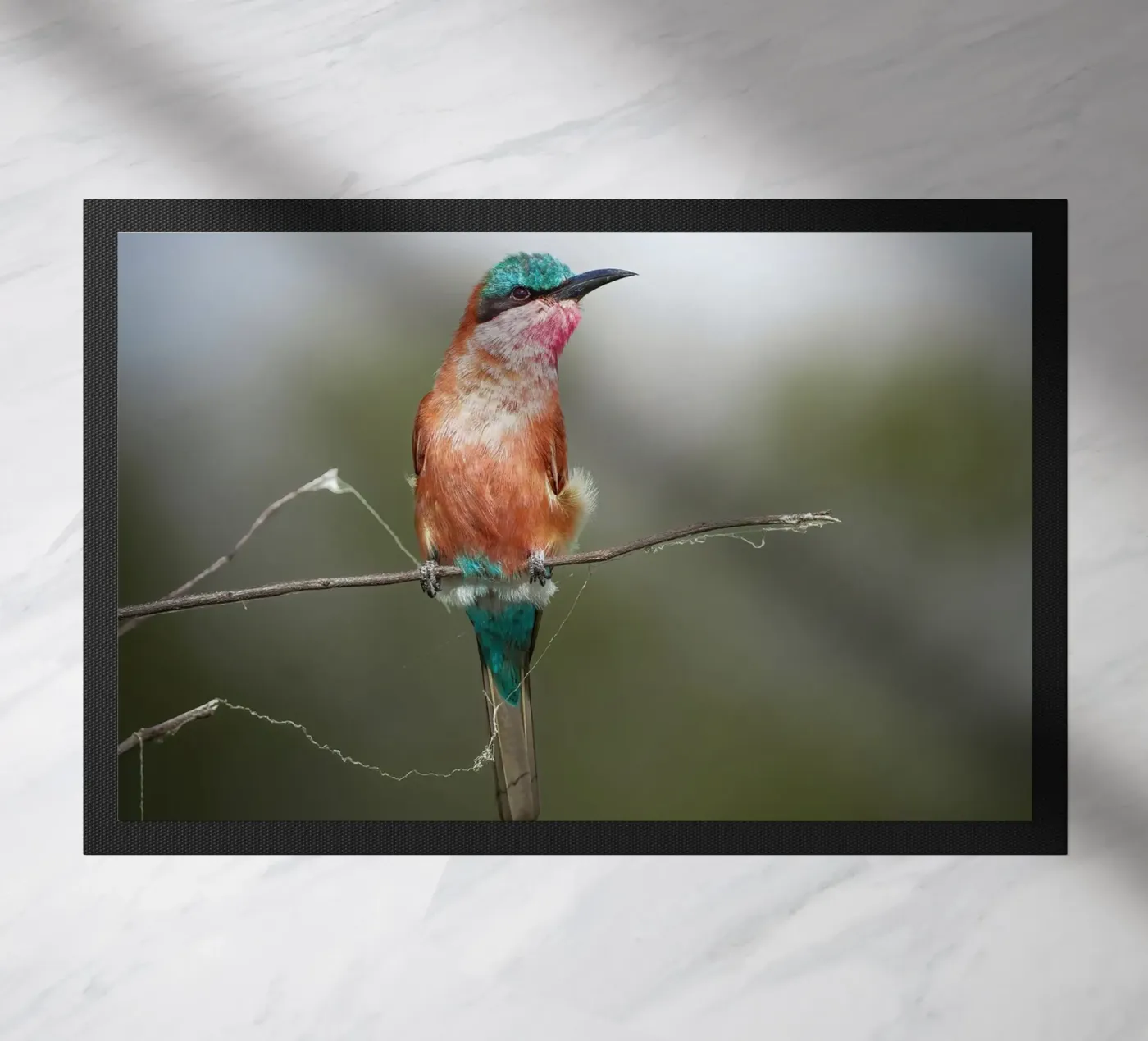 Carmine Bee-eater deurmat van Tom's Wildlife