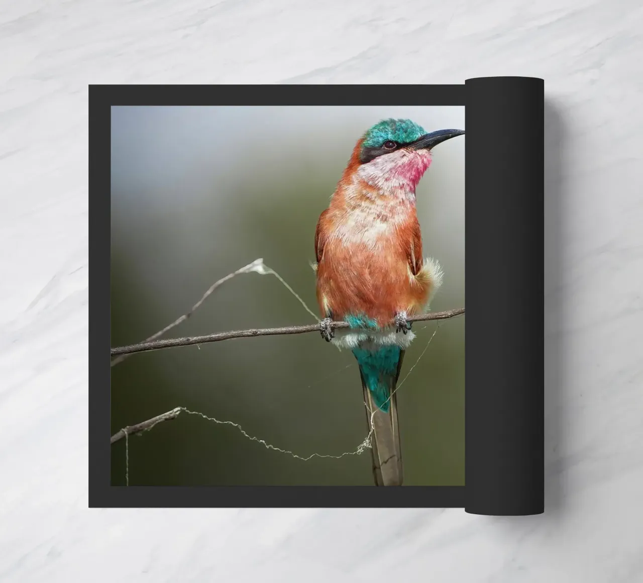 Karmijn Bijeneter deurmat van Tom's Wildlife