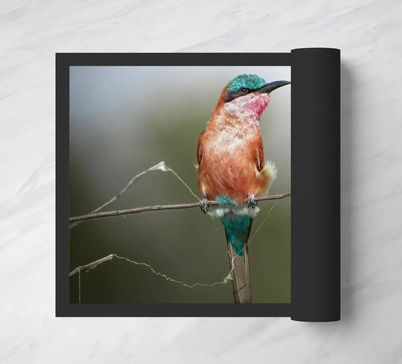 Carmine Bee-eater deurmat van Tom's Wildlife