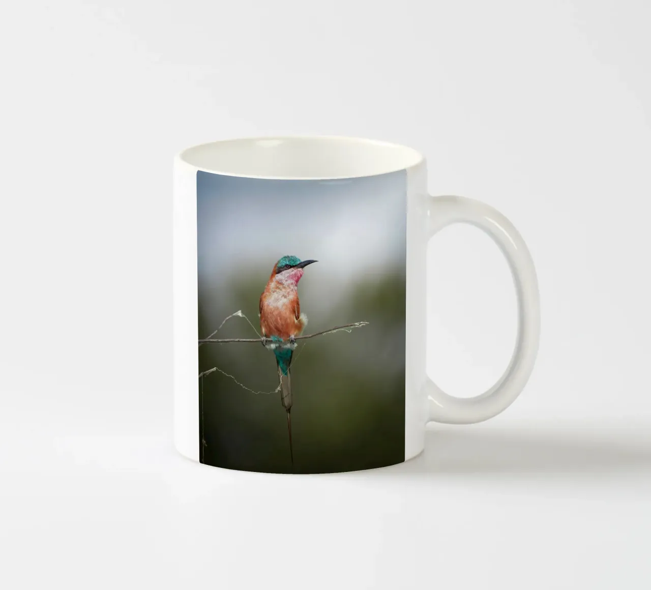 Gruccione carminio tazza in ceramica da Tom's Wildlife
