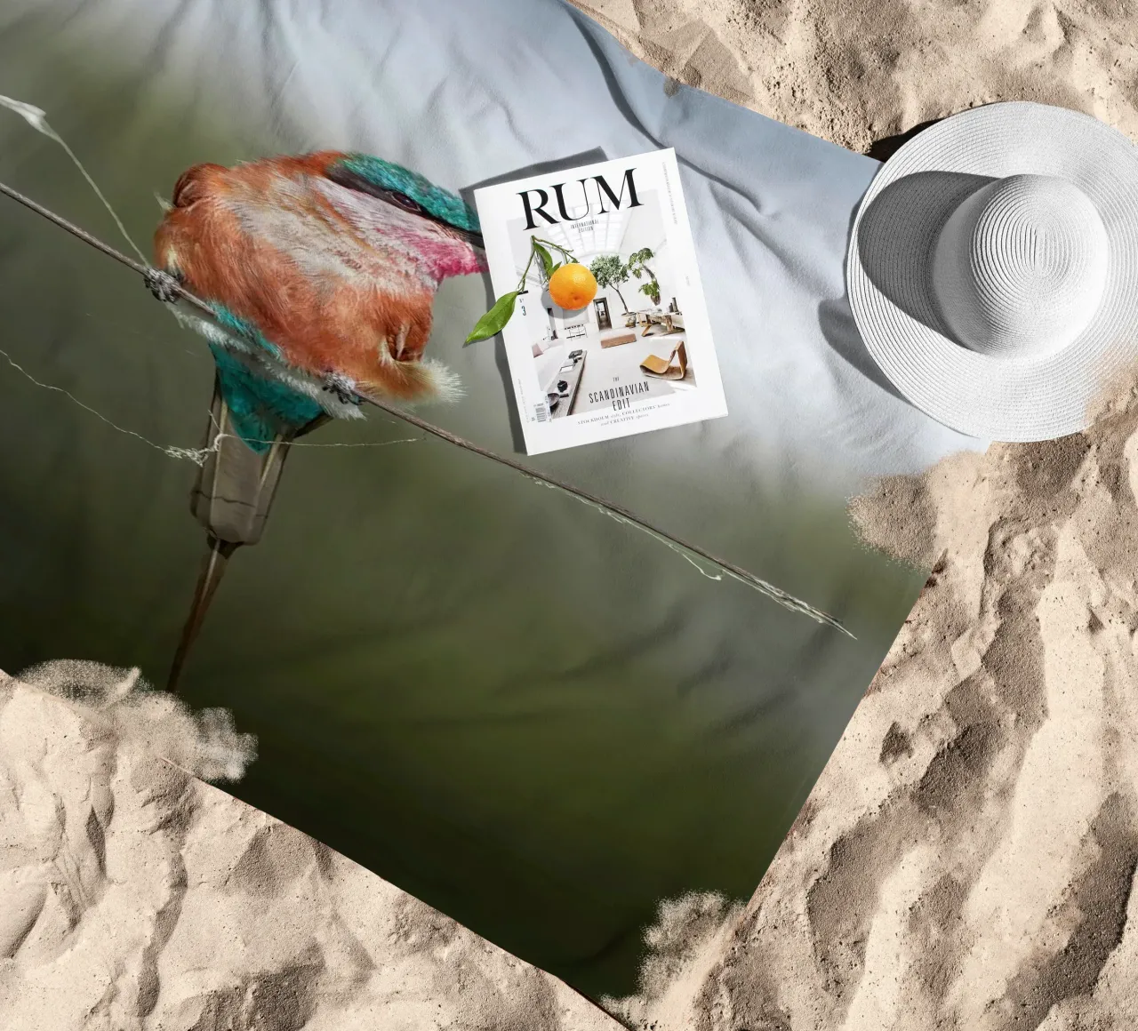 Carmine Bee-eater telo mare da Tom's Wildlife