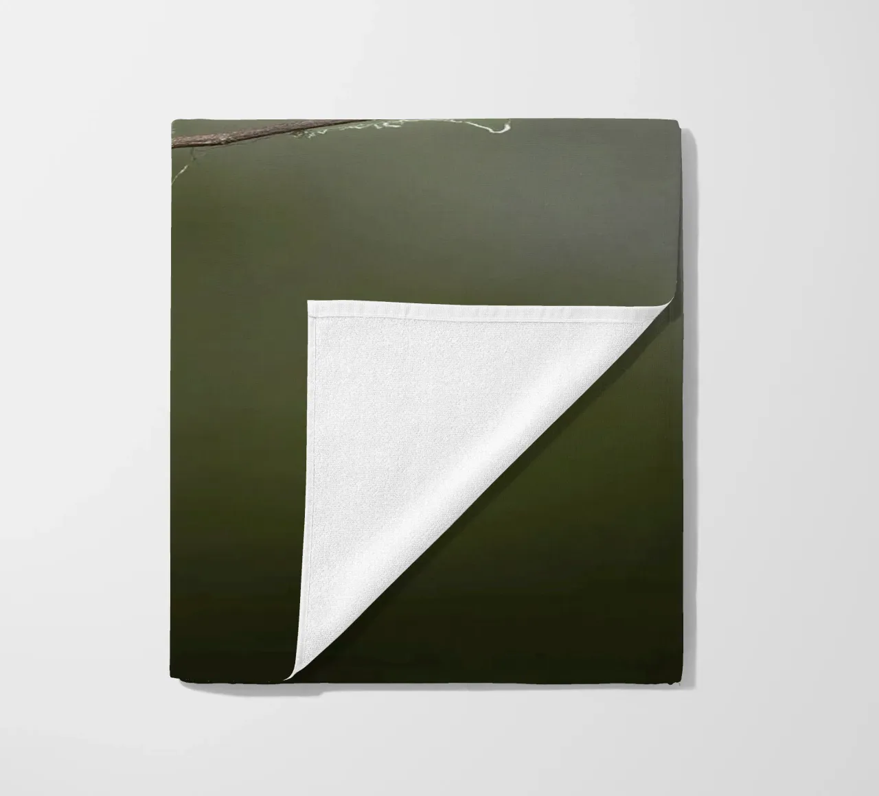 Carmine Bee-eater telo mare da Tom's Wildlife