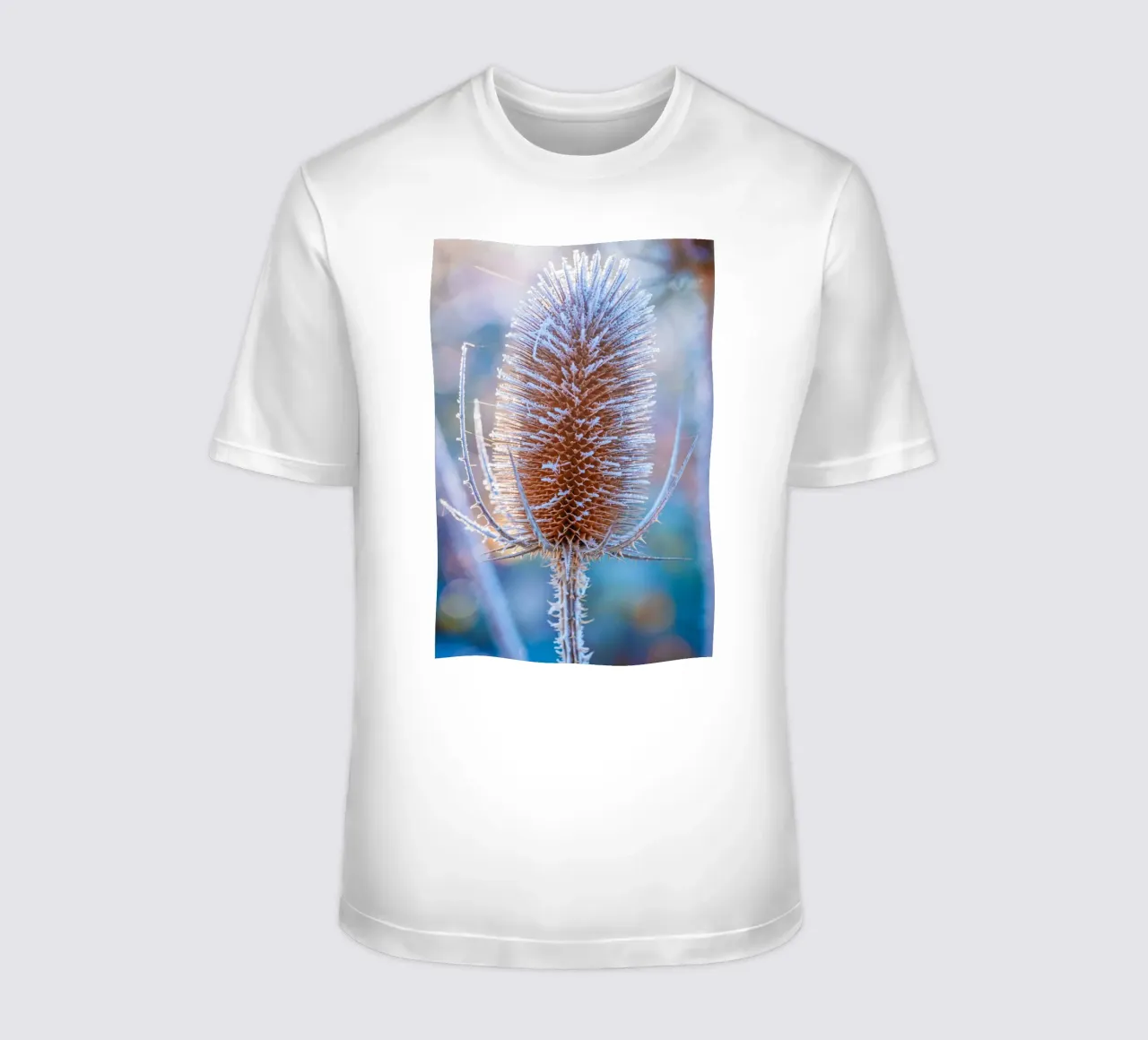 Wild teasel covered with frost in winter t-shirt by Marcus Beckert | Fotografie