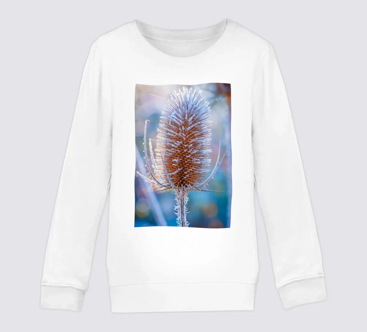 Teasel selvatico coperto di brina in inverno felpa bambino da Marcus Beckert | Fotografie