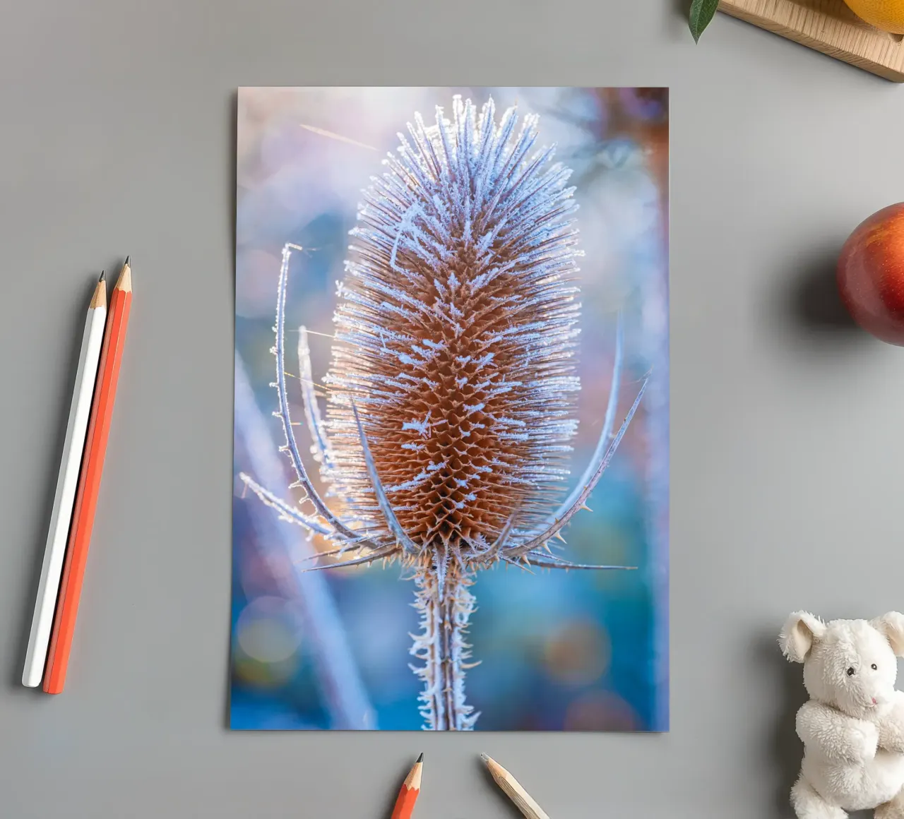 Wild teasel covered with frost in winter sticker sheet by Marcus Beckert | Fotografie