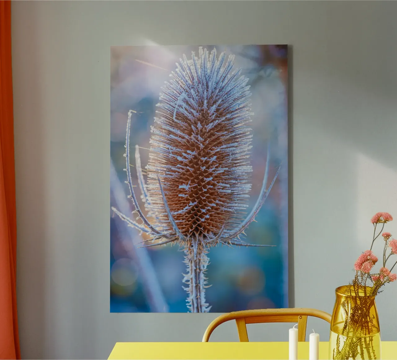 Wild teasel covered with frost in winter canvas by Marcus Beckert | Fotografie