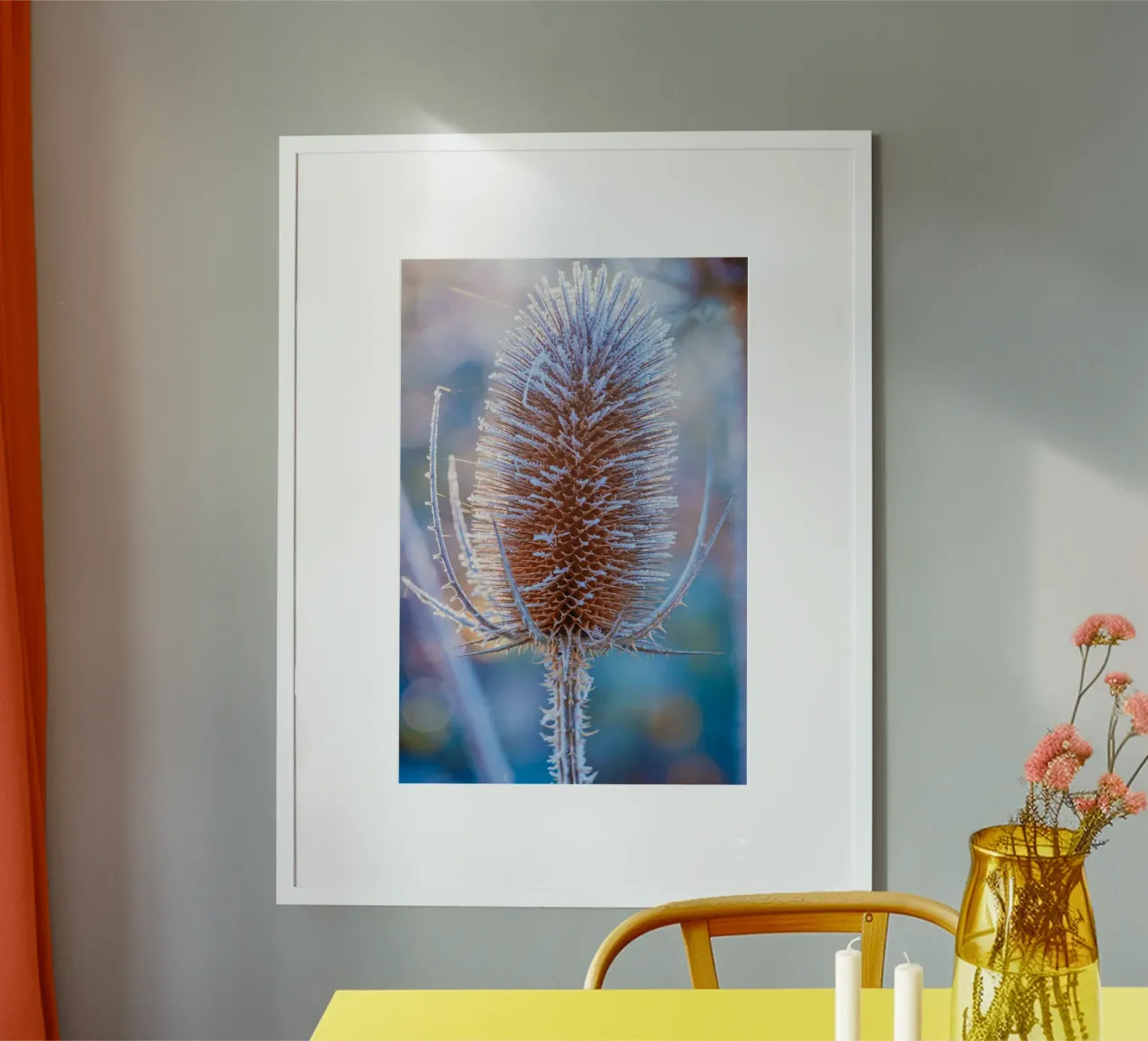Teasel selvatico coperto di brina in inverno carta hahnemühle da Marcus Beckert | Fotografie
