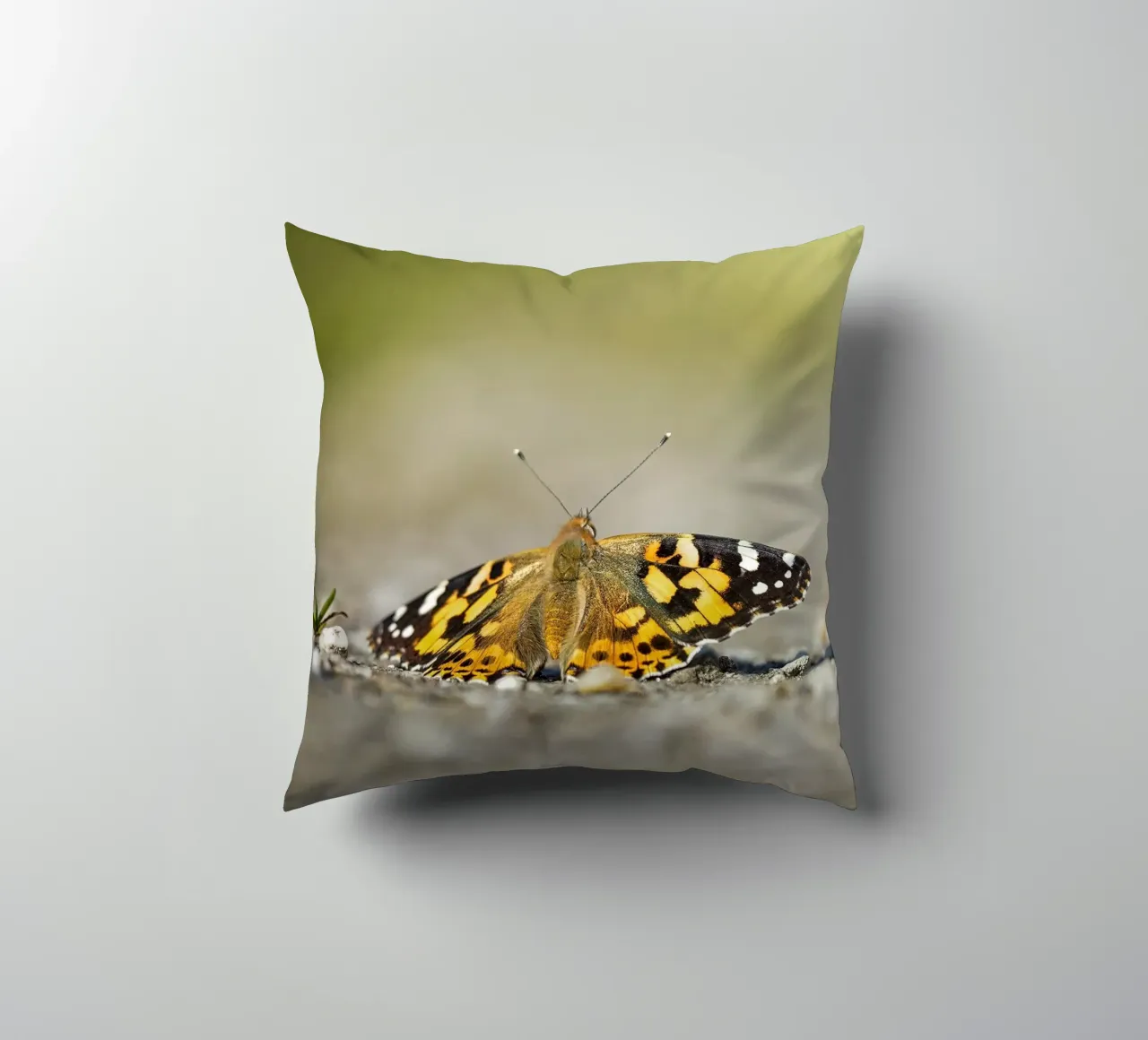 Farfalla cuscino da Tom's Wildlife