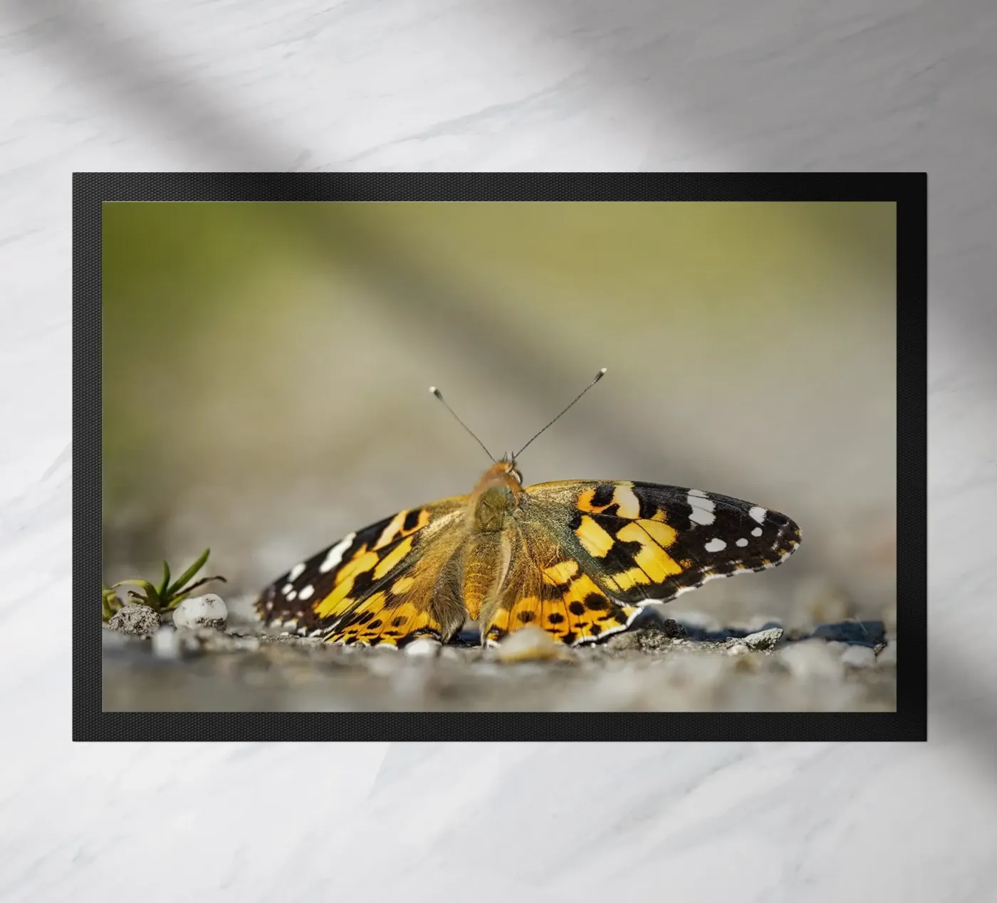Butterfly doormat by Tom's Wildlife