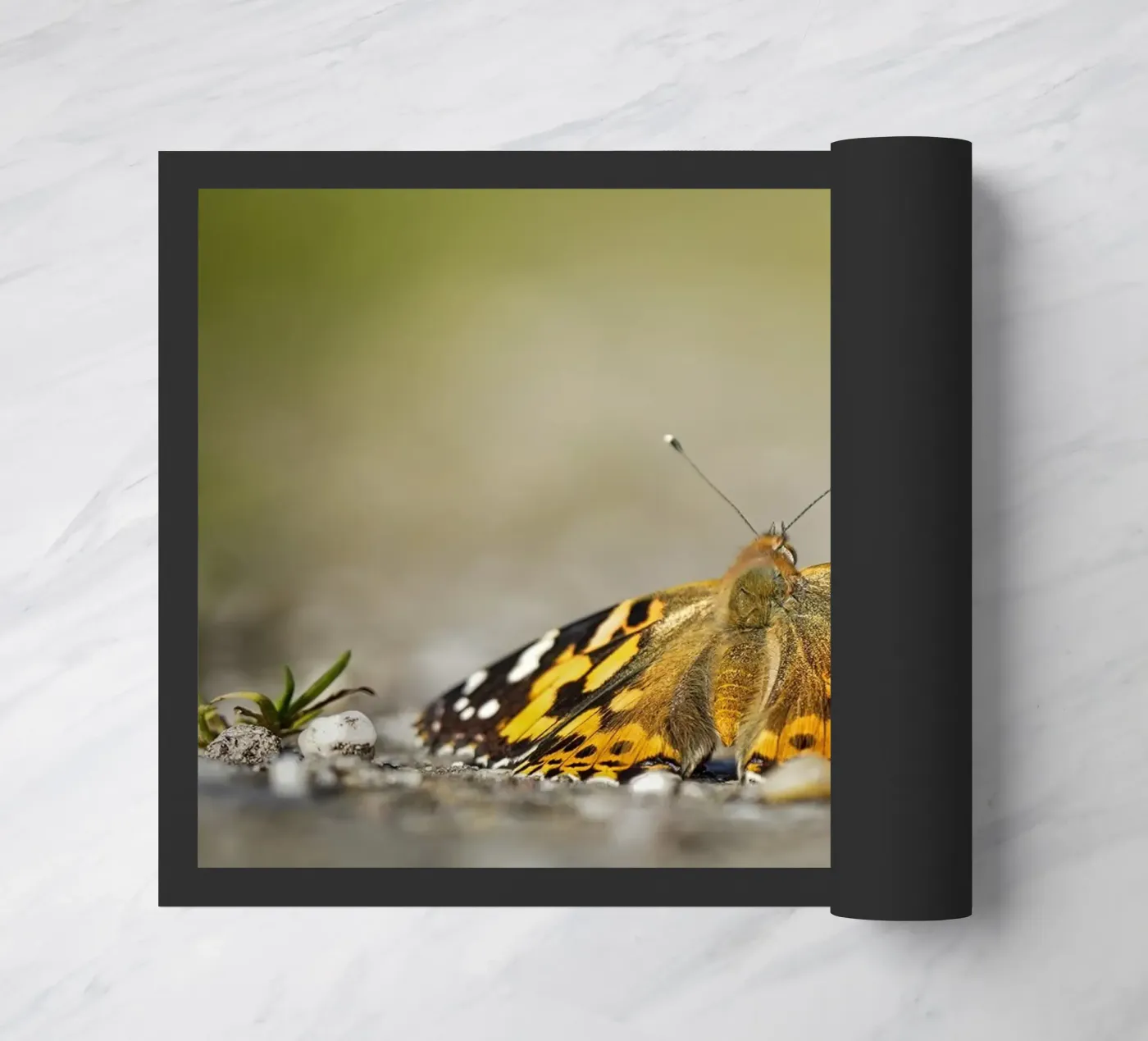 Butterfly doormat by Tom's Wildlife