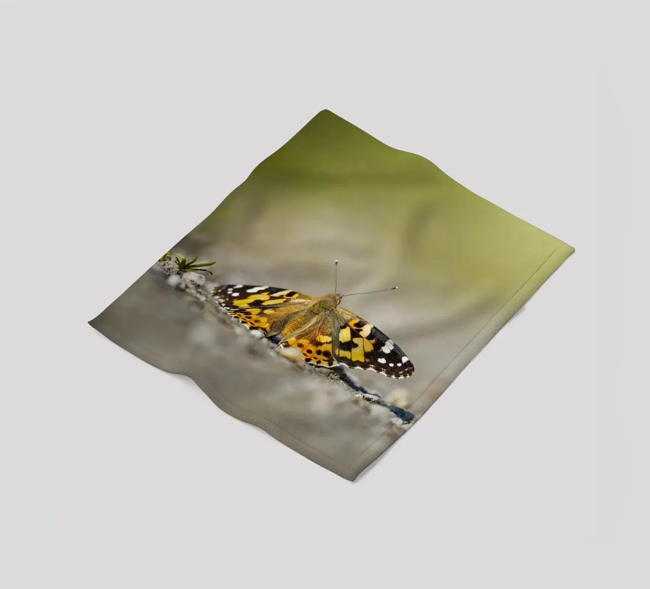 Farfalla coperta in pile da Tom's Wildlife