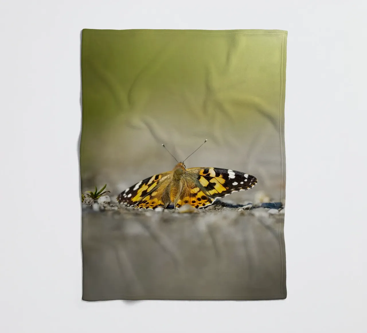 Farfalla coperta in pile da Tom's Wildlife