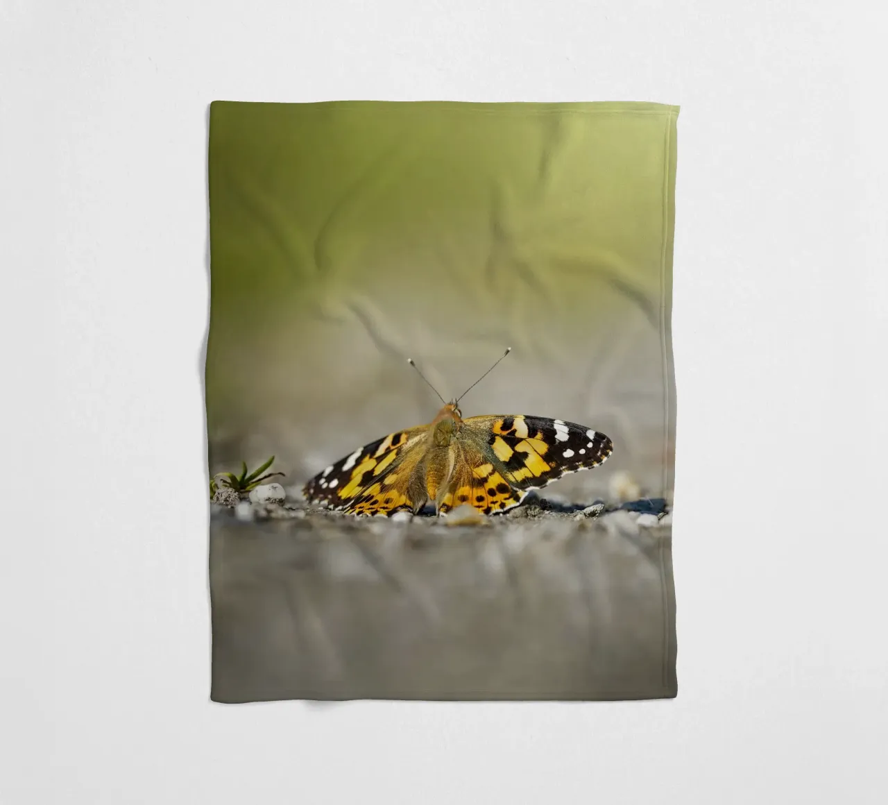 Farfalla coperta in pile da Tom's Wildlife