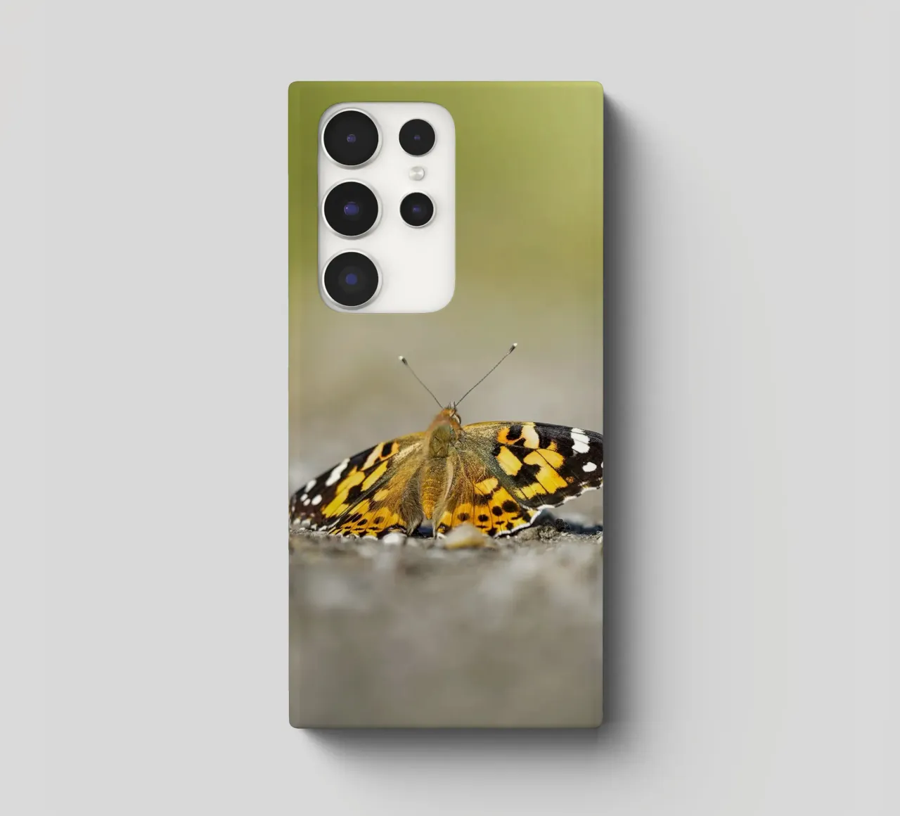 Farfalla cover samsung da Tom's Wildlife