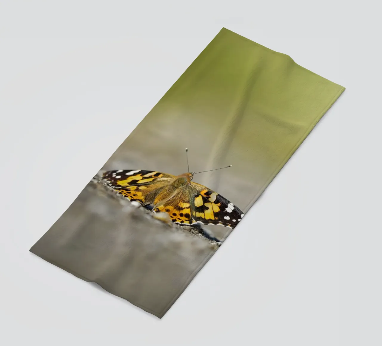 Butterfly beach towel by Tom's Wildlife