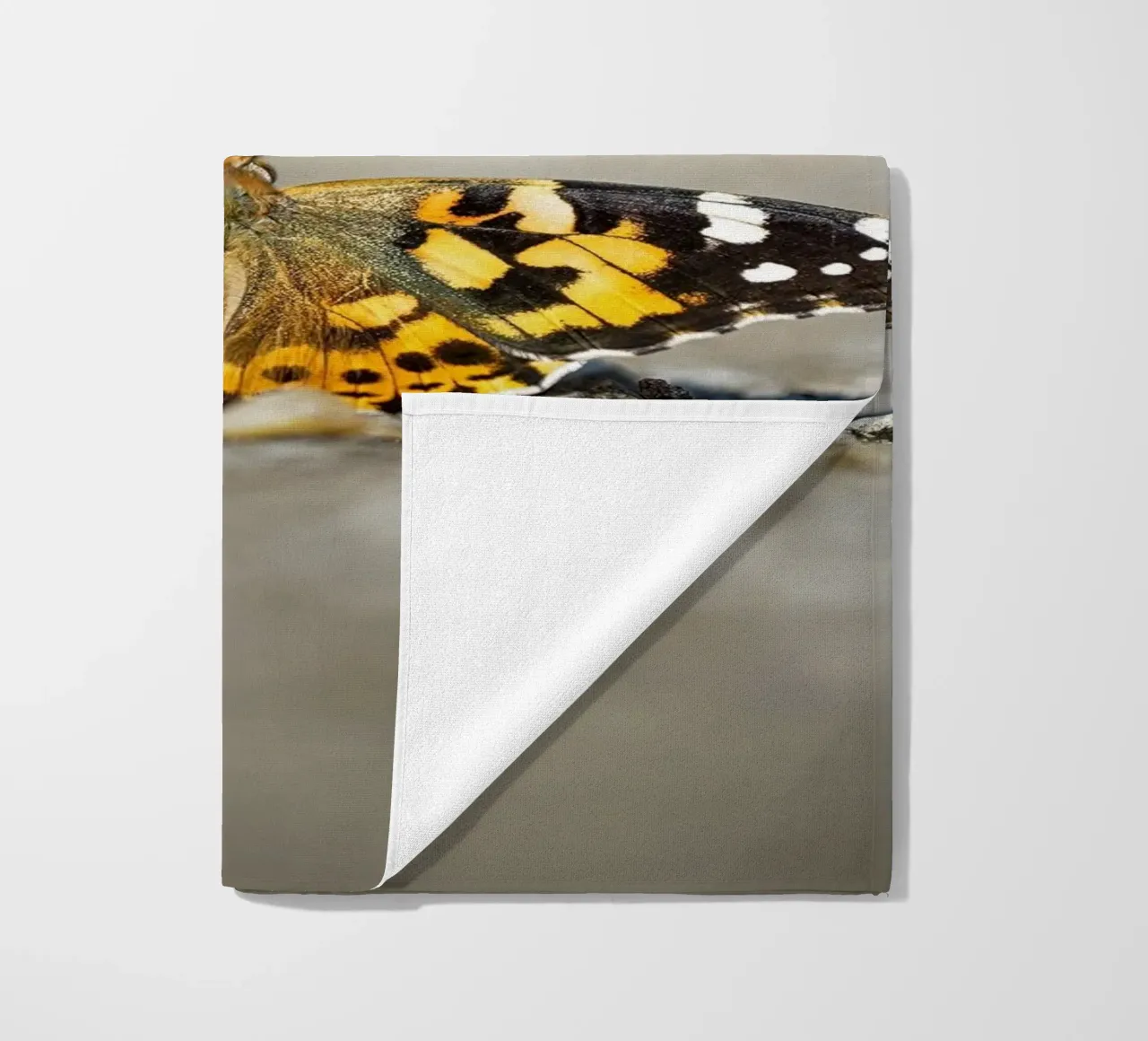 Butterfly beach towel by Tom's Wildlife