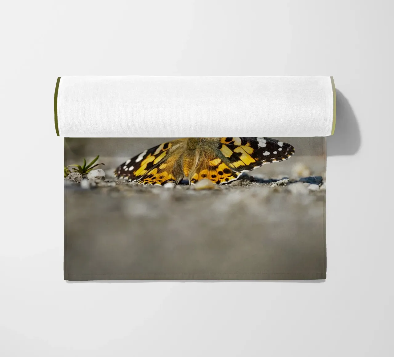 Butterfly beach towel by Tom's Wildlife