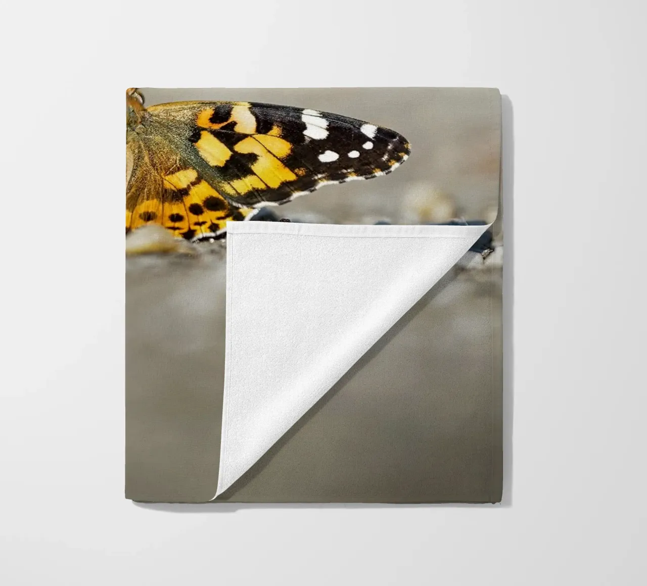 Butterfly beach towel by Tom's Wildlife