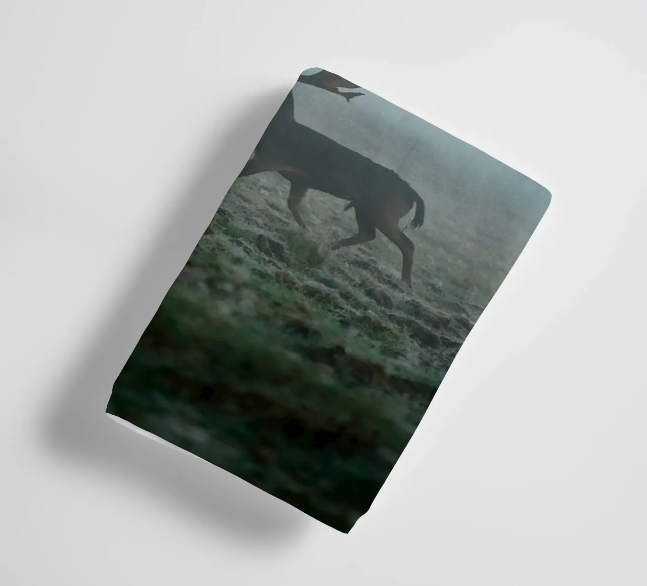 Maschio di daino asciugamano da bagno da Tom's Wildlife