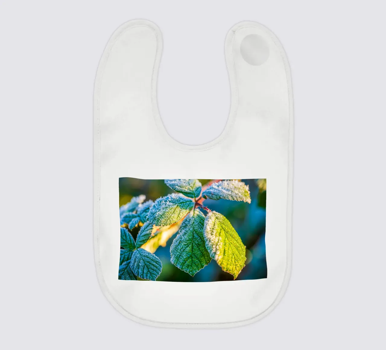 Foglie verdi di un cespuglio di more in inverno bavaglino da Marcus Beckert | Fotografie